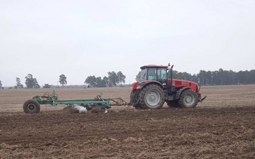 Антоновка посевная2.jpg